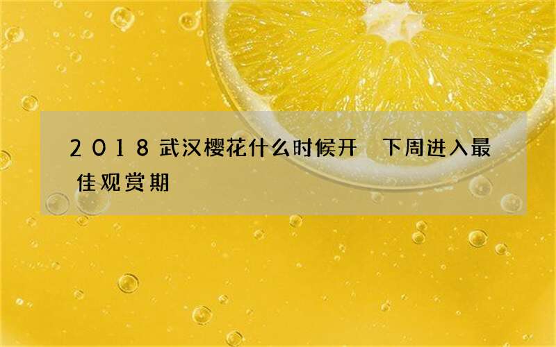 2018武汉樱花什么时候开 下周进入最佳观赏期